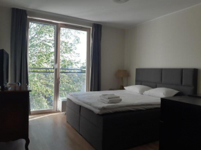 Aisa Street apartments